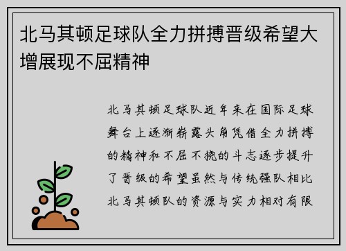 北马其顿足球队全力拼搏晋级希望大增展现不屈精神